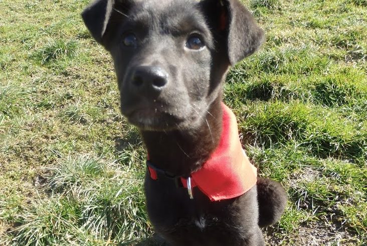 Funny♥vermittelt♥