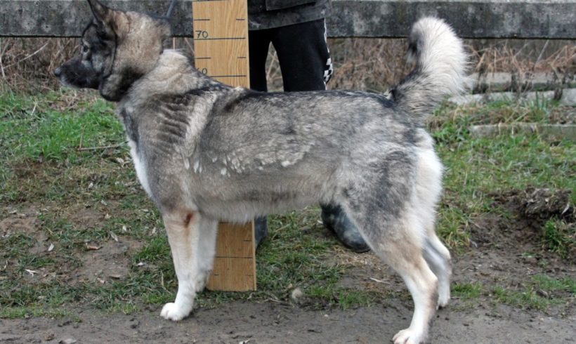 Maya 7 •vermittelt•