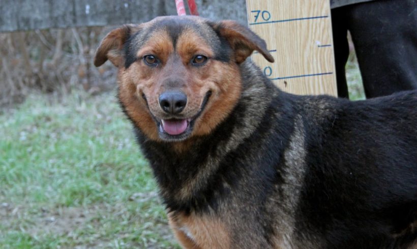 Regina ♥vermittelt♥