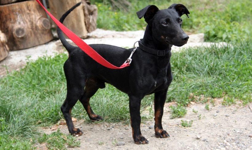 Beni 3 •vermittelt•