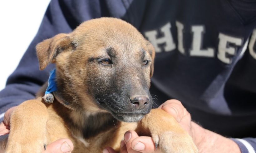 Nina Dombovar ♥ vermittelt ♥