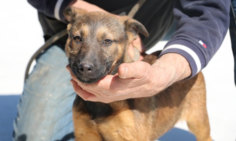 Nana ♥ vermittelt ♥