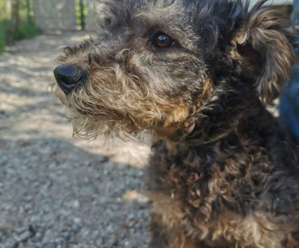 Fáni ♥ vermittelt ♥