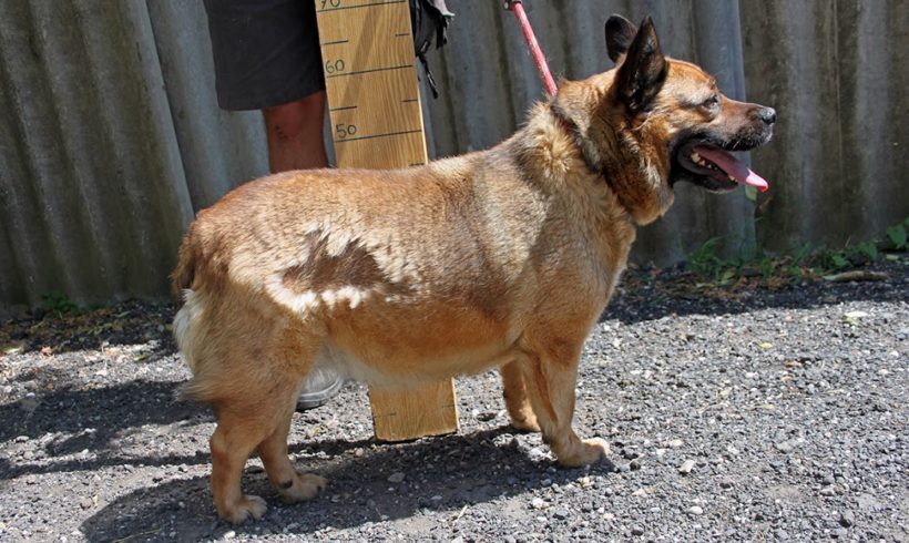 Cloe •vermittelt•