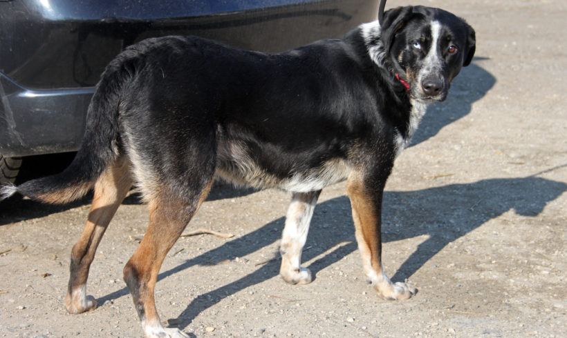 Lena •vermittelt•