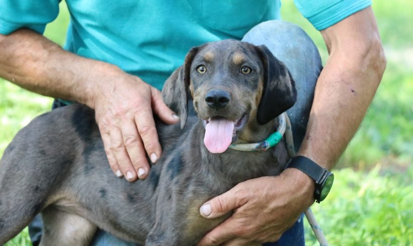 Mindy ♥ vermittelt nach Österreich ♥