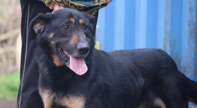 Koppany 3 Szeged Koppany 3 Szeged