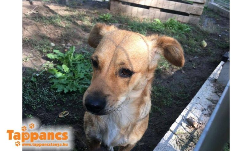 Tundi 2 Szeged ♥ vermittelt ♥