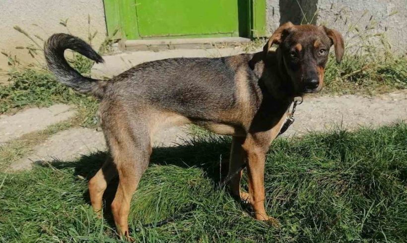 Lolka ♥vermittelt♥