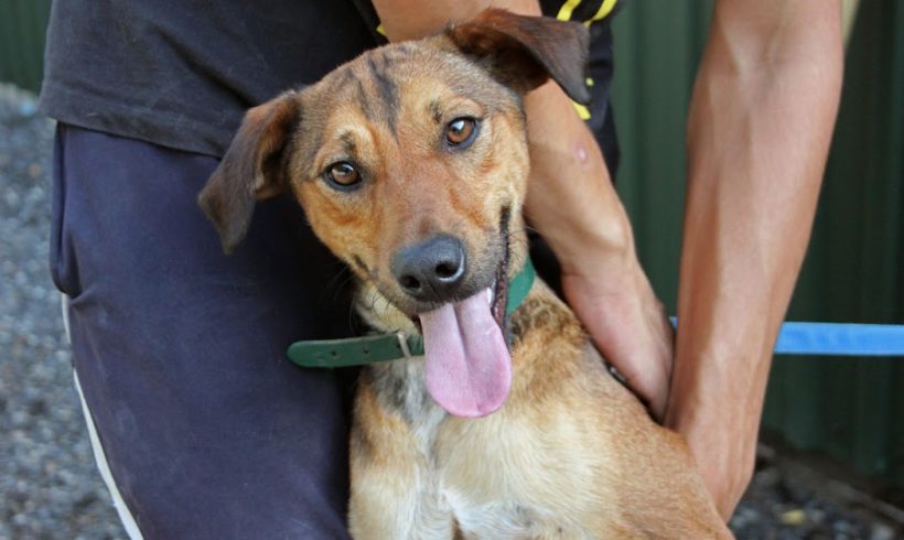 Ricky•vermittelt•