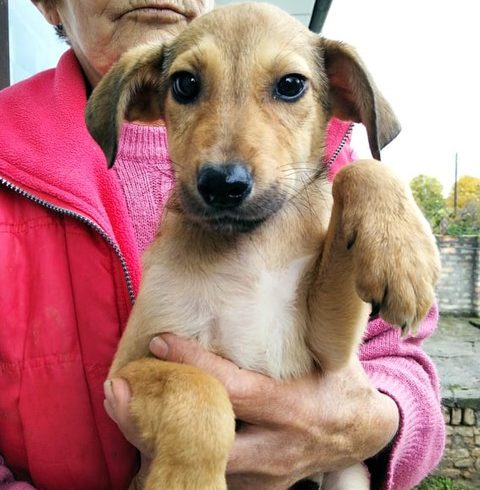 Kira 2 ♥ zieht am 08.01.22 auf PS nach 477441 Moers ♥ vermittelt ♥