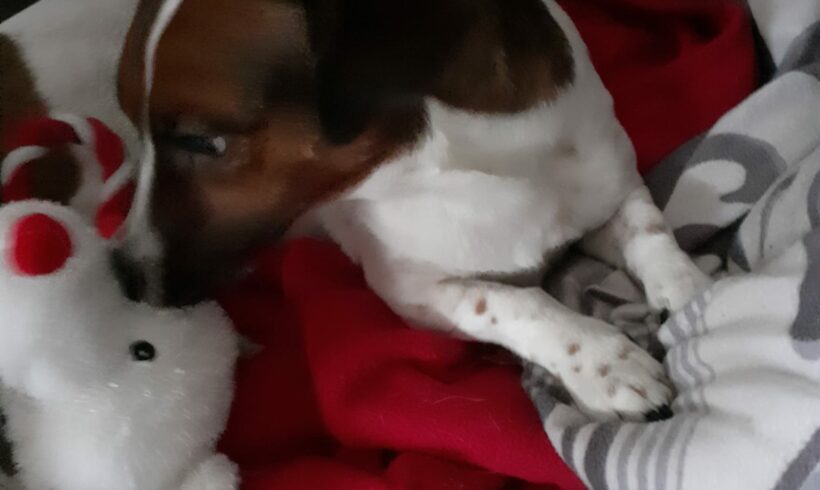 Baja ♥ Auf PS in 34125 Kassel ♥ vermittelt ♥