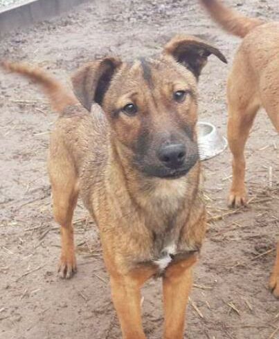 Bella 10 ♥ vermittelt ♥