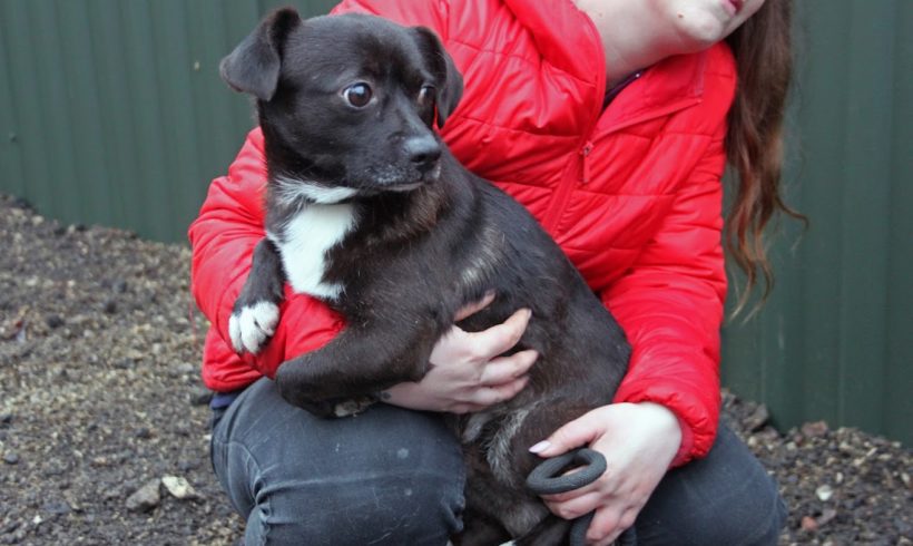 Patrick •vermittelt•