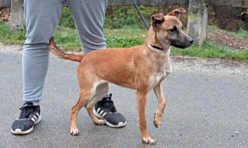 Serena •vermittelt•