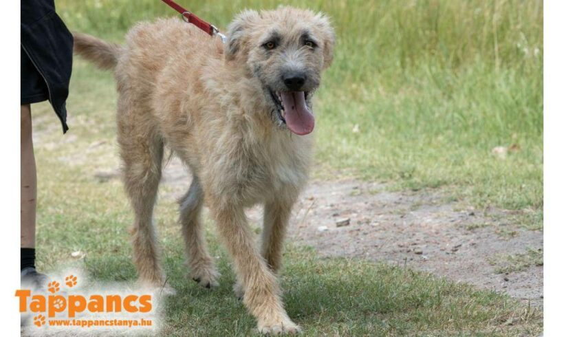 Majky ♥ vermittelt ♥