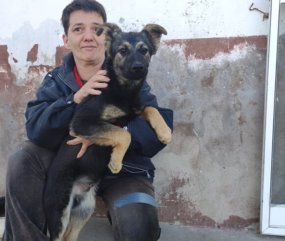 Marlo 2 ♥ zieht am 10.09. auf PS nach 34125 Kassel ♥