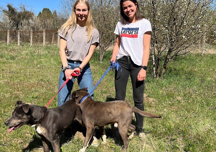 Reisebericht von Alica und Vanessa – ihr erster Besuch in ungarischen Tierheimen/Tötung
