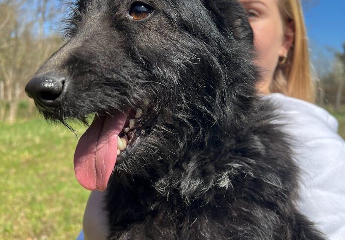 Bolha ♥vermittelt♥