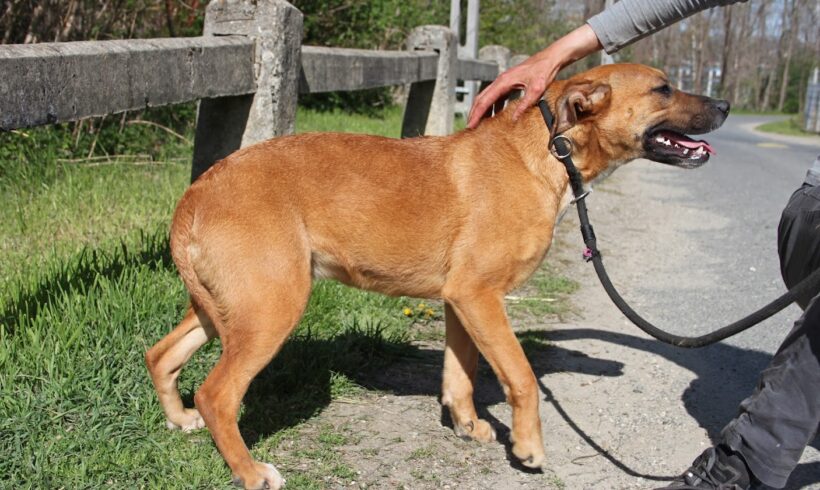 Fanni 3 •vermittelt•