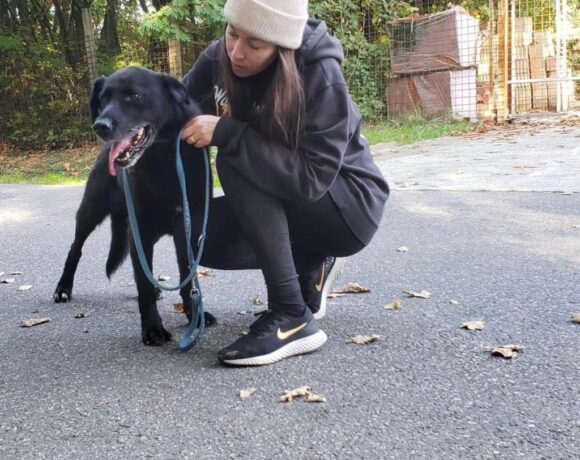 Manni !Transportpaten gefunden – Danke P. Weisenberger :-*