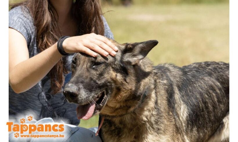 Omega ♥ vermittelt ♥