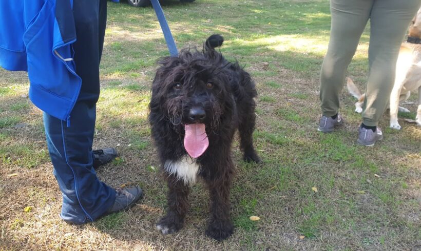 Kocos 5 ♥ vermittelt ♥