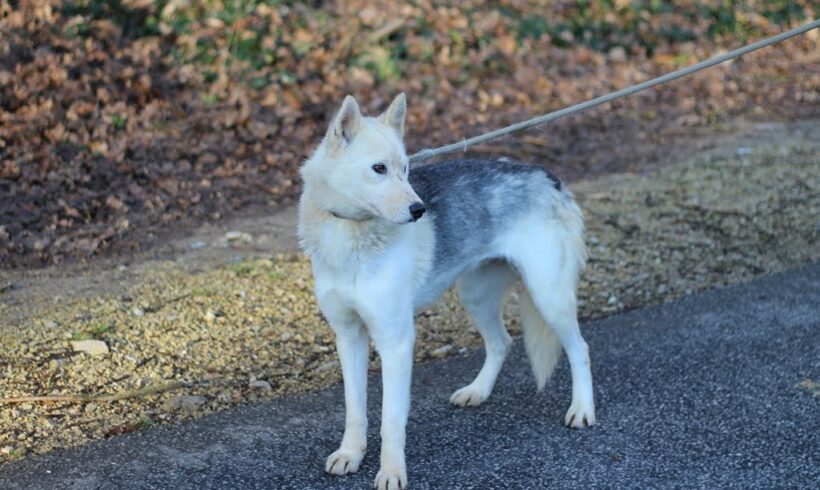 Yuma •vermittelt•