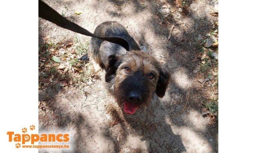 Letti 2 ♥ vermittelt ♥