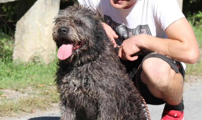 Nori 2 +++in Ungarn vermittelt+++