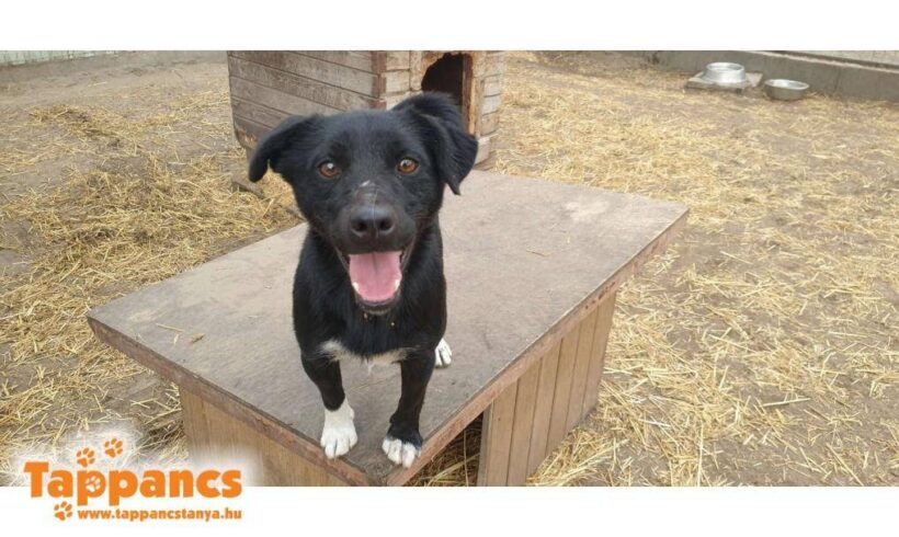 Balhe ♥ vermittelt ♥