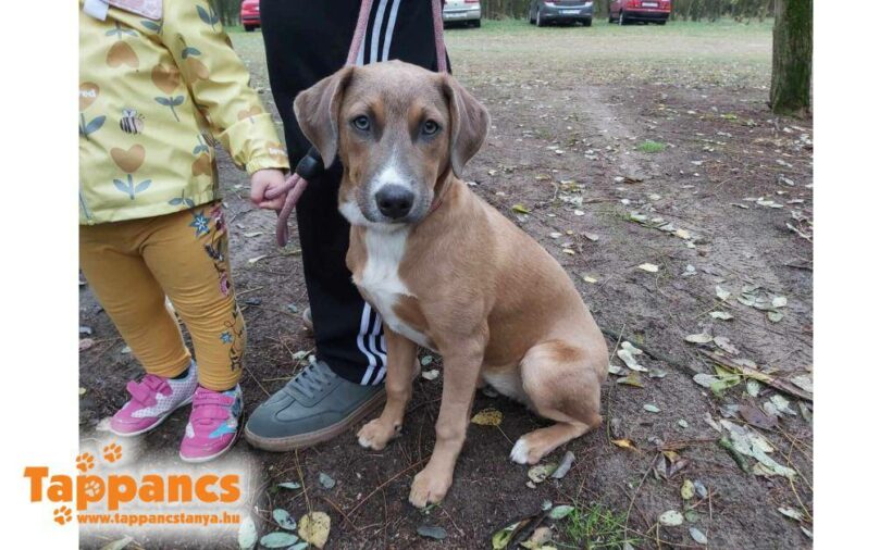 Izabell 2 ♥ vorreserviert ♥