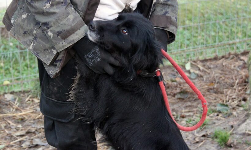 Fiona 4 ++ vermittelt ++