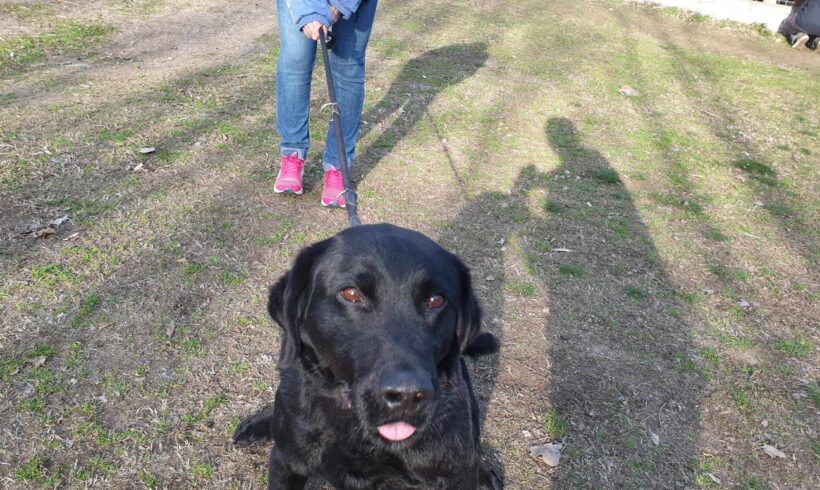 Max 3 ♥ vermittelt ♥