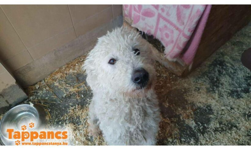 Akac 3 ♥ vermittelt ♥