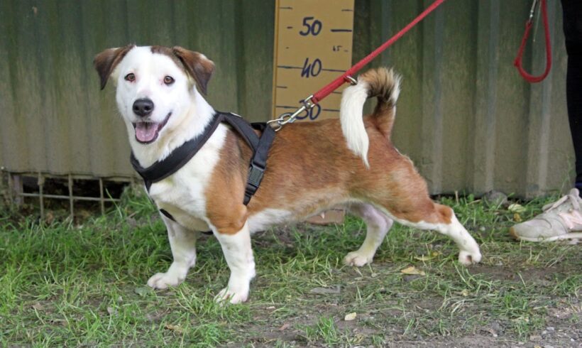 Evy ++ vermittelt ++