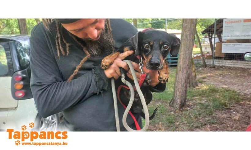 Samu 5 ♥ vermittelt ♥