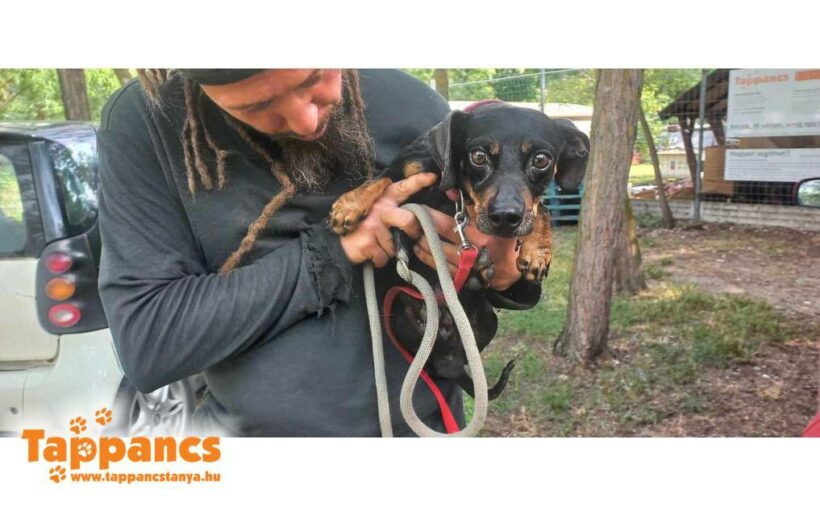 Samu 5 ♥ vermittelt ♥ Samu 5 ♥ vermittelt ♥