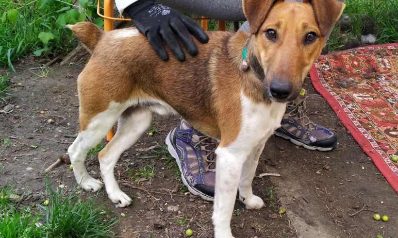 MURCI +++vermittelt+++