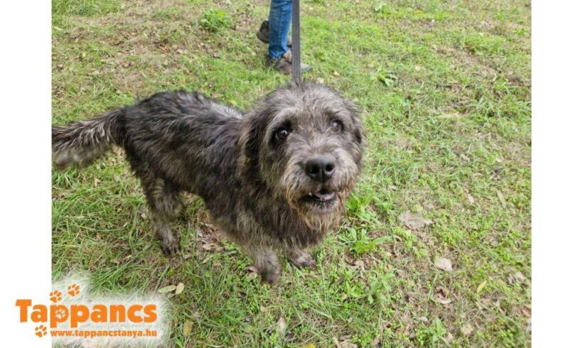 Tünder ♥ vermittelt ♥