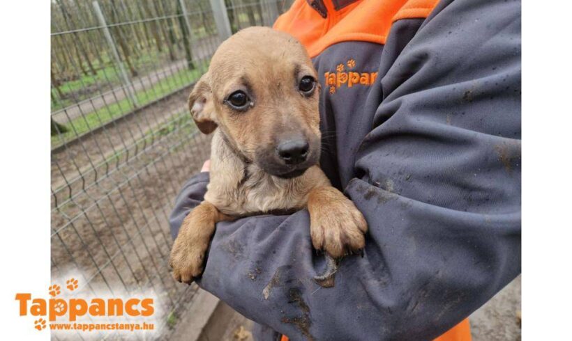 Nati ♥ vermittelt ♥