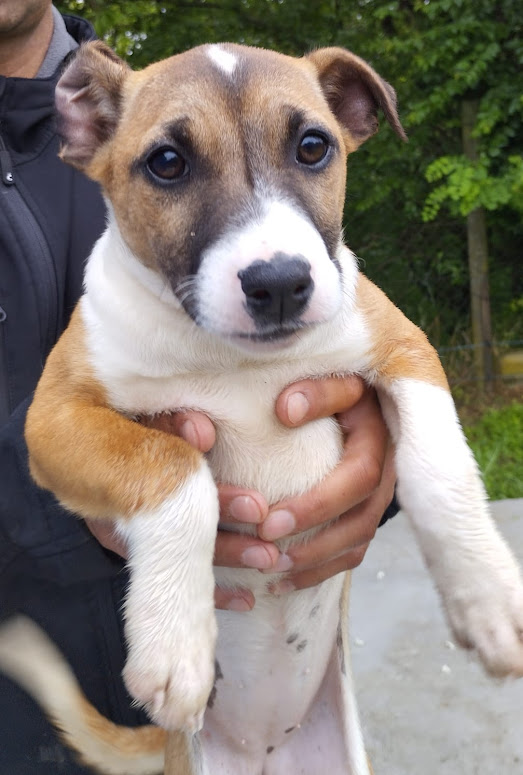 Vicky ♥ vermittelt ♥ Vicky ♥ vermittelt ♥