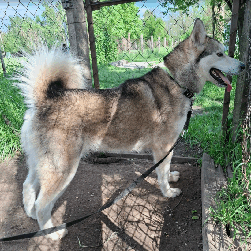 Lia 4 +++vermittelt+++ Lia 4 +++vermittelt+++