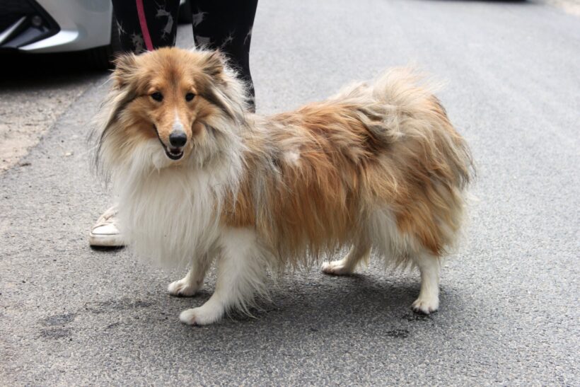 Neo +++vermittelt+++ Neo +++vermittelt+++