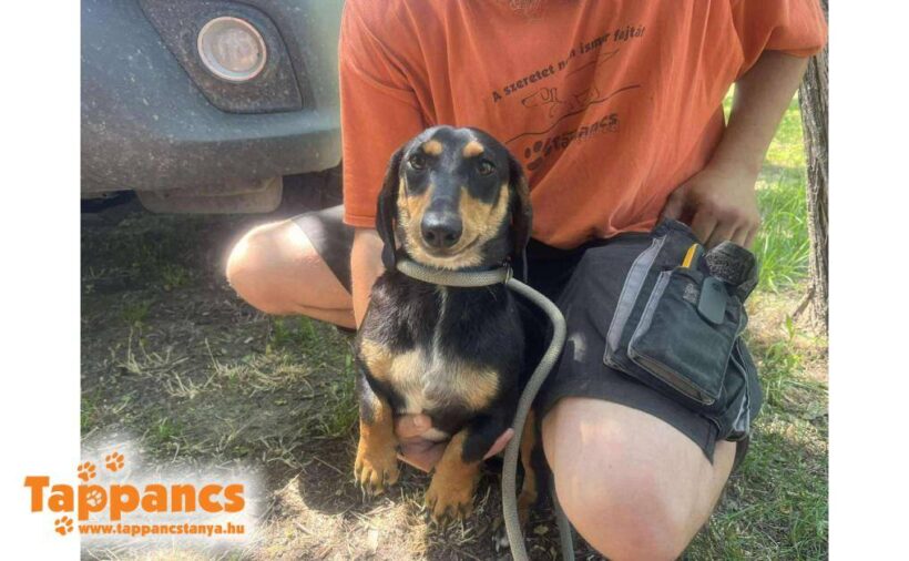 Nyunyoka ♥ vermittelt ♥