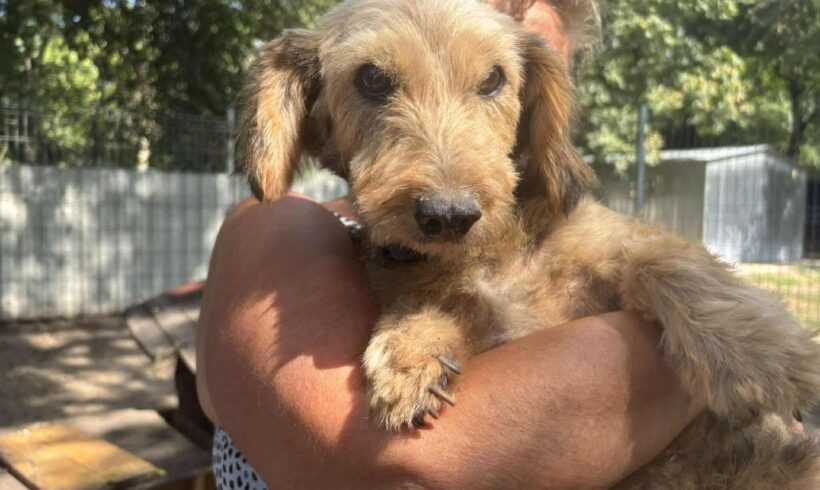 Muki 5 ♥ vermittelt ♥