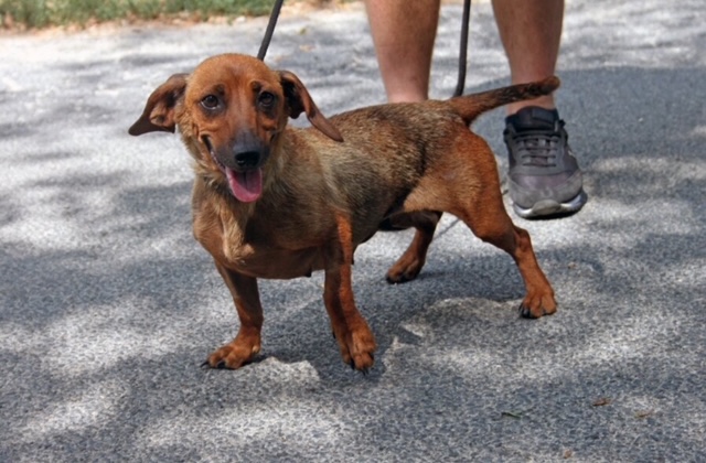 Rumli 3 +++ab 6.9. auf PS in 67147 Forst an der Weinstraße+++ vermittelt ♥