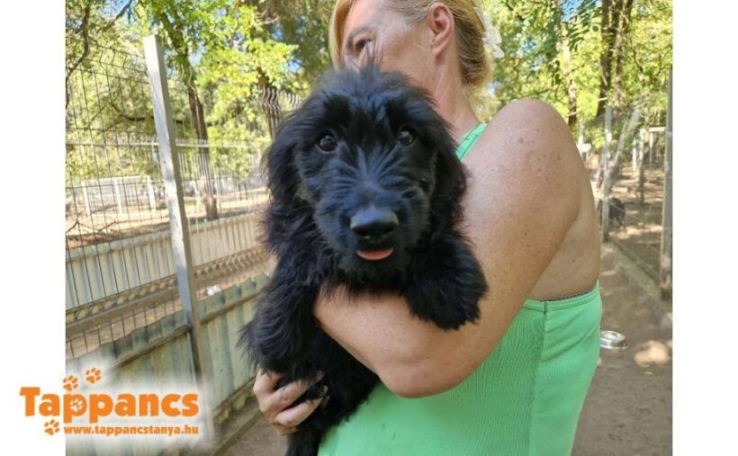 Gitta ♥vermittelt ♥