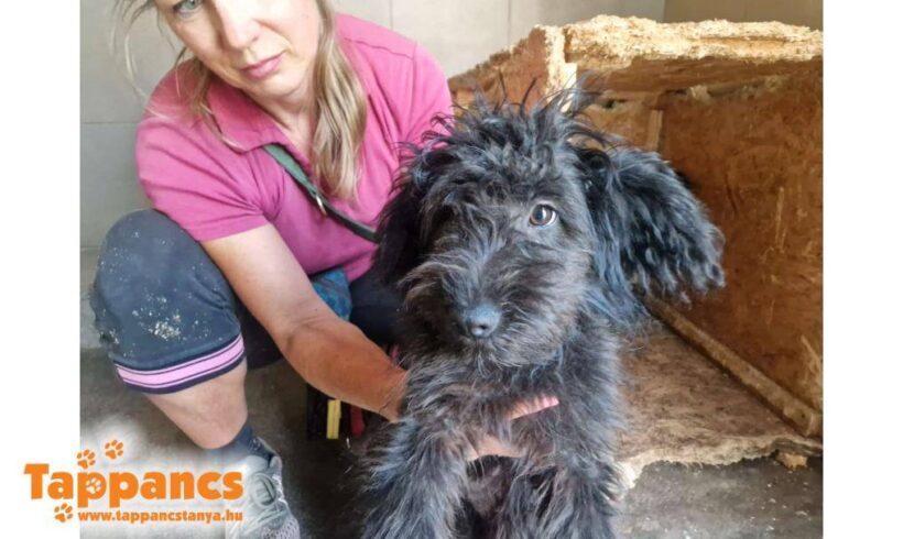 Rena ♥ vermittelt ♥