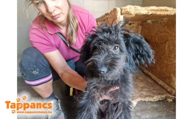 Rena ♥ vermittelt ♥